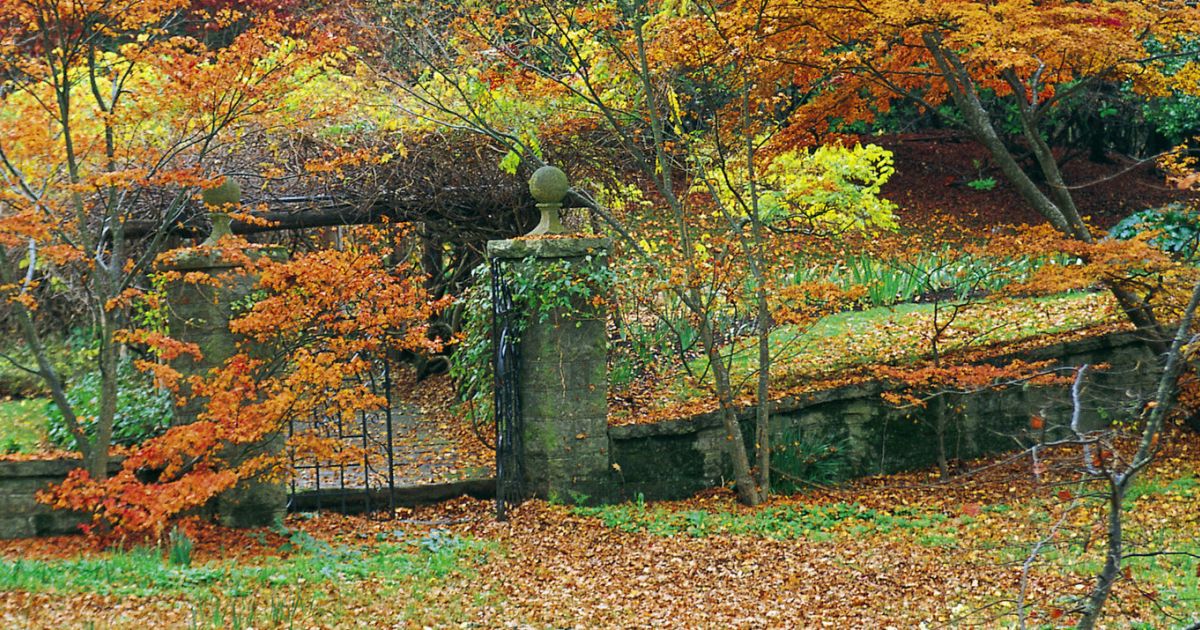 Moss Vale NSW Plan a Holiday & Attractions